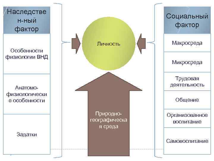 Наследстве н-ный фактор Социальный фактор Личность Особенности физиологии ВНД Макросреда Микросреда Трудовая деятельность Анатомофизиологически