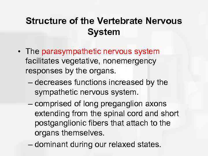 Structure of the Vertebrate Nervous System • The parasympathetic nervous system facilitates vegetative, nonemergency