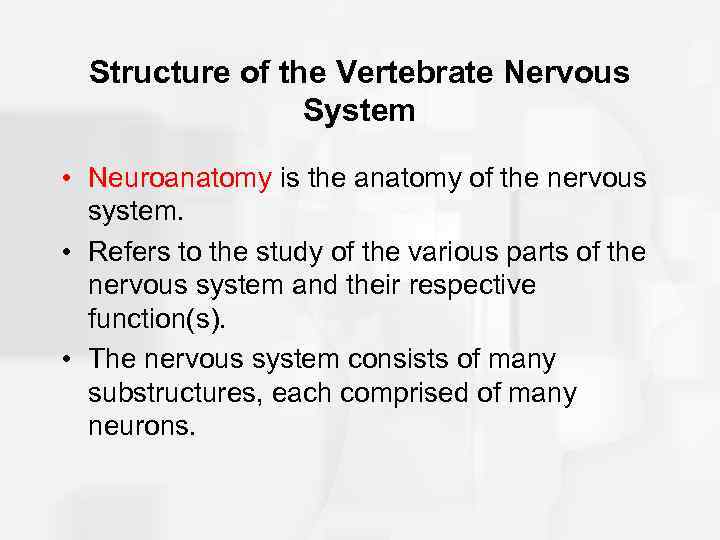 Structure of the Vertebrate Nervous System • Neuroanatomy is the anatomy of the nervous