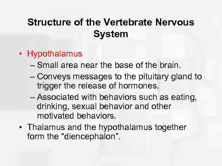 Structure of the Vertebrate Nervous System • Hypothalamus – Small area near the base