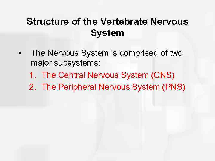Structure of the Vertebrate Nervous System • The Nervous System is comprised of two