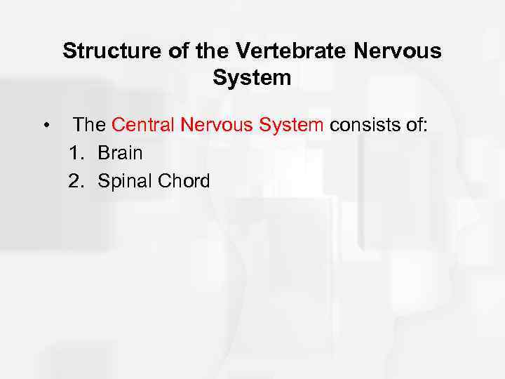 Structure of the Vertebrate Nervous System • The Central Nervous System consists of: 1.