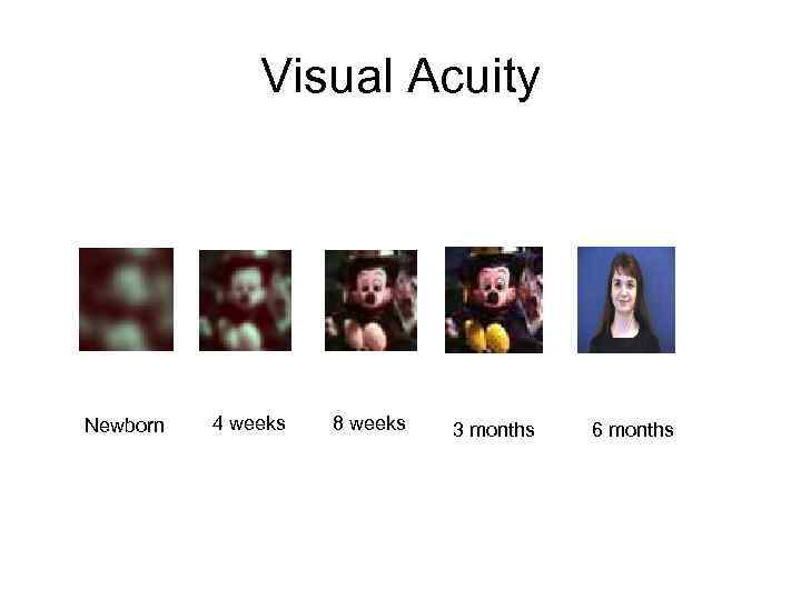 Visual Acuity Newborn 4 weeks 8 weeks 3 months 6 months 