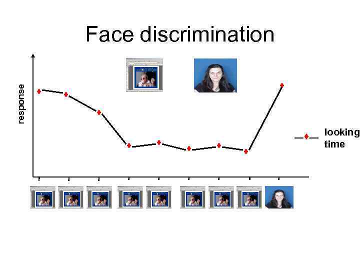 response Face discrimination looking time 