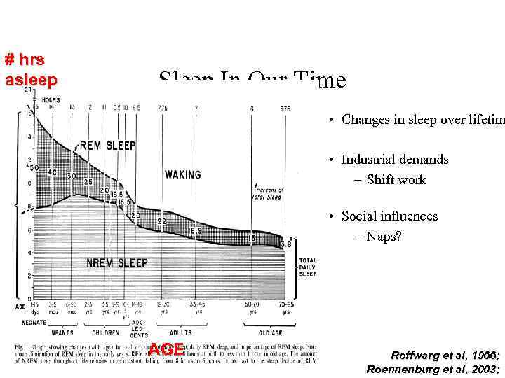 # hrs asleep Sleep In Our Time • Changes in sleep over lifetim •