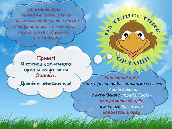 Солнечный орел занесён в Красные книги Ульяновской области и России, Международный список видов, находящихся