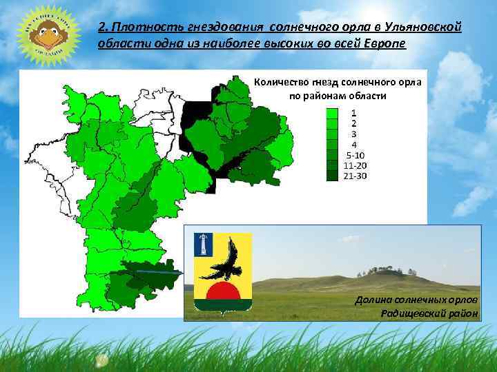 2. Плотность гнездования солнечного орла в Ульяновской области одна из наиболее высоких во всей