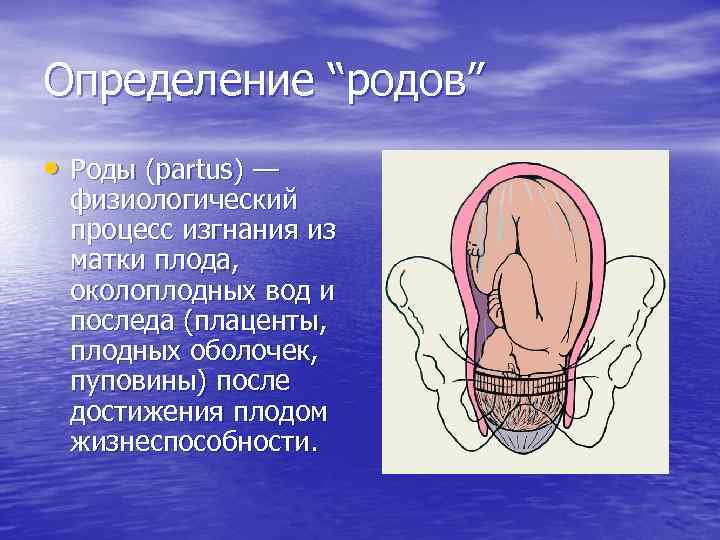 Определение “родов” • Роды (partus) — физиологический процесс изгнания из матки плода, околоплодных вод