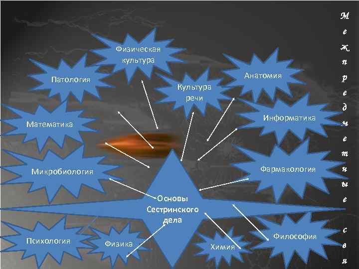 М е ж Физическая культура п Анатомия Патология Культура речи е Информатика Математика р