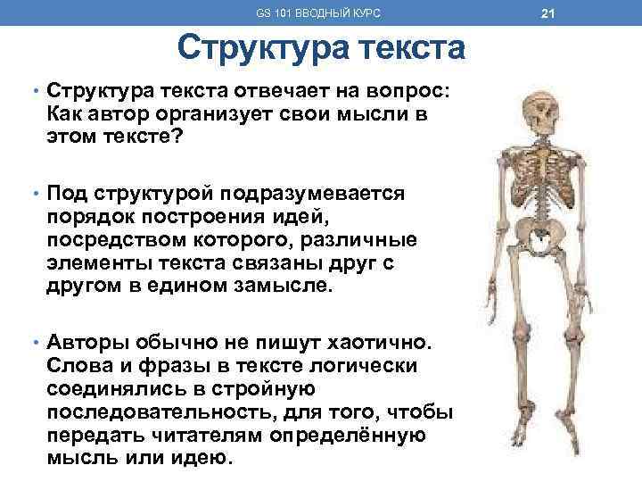 GS 101 ВВОДНЫЙ КУРС Структура текста • Структура текста отвечает на вопрос: Как автор