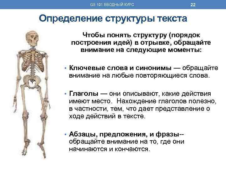 GS 101 ВВОДНЫЙ КУРС 22 Определение структуры текста Чтобы понять структуру (порядок построения идей)