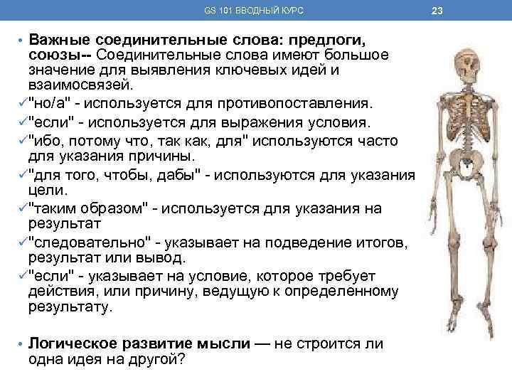 GS 101 ВВОДНЫЙ КУРС • Важные соединительные слова: предлоги, союзы-- Соединительные слова имеют большое