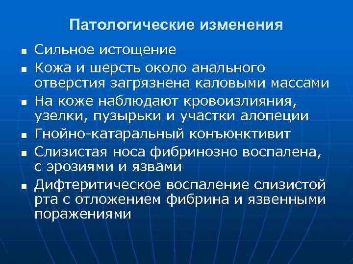 Патологические изменения n n n Сильное истощение Кожа и шерсть около анального отверстия загрязнена