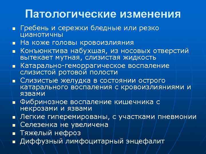 Патологические изменения n n n n n Гребень и сережки бледные или резко цианотичны