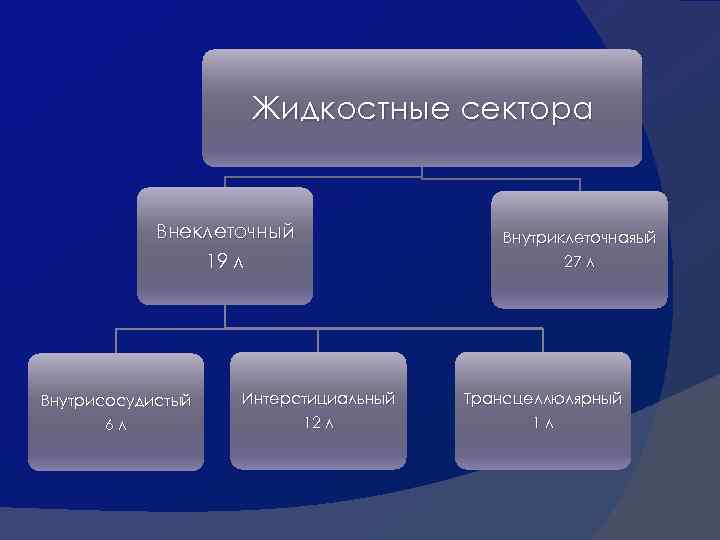 Жидкостные сектора Внеклеточный 19 л Внутрисосудистый 6 л Интерстициальный 12 л Внутриклеточнаяый 27 л