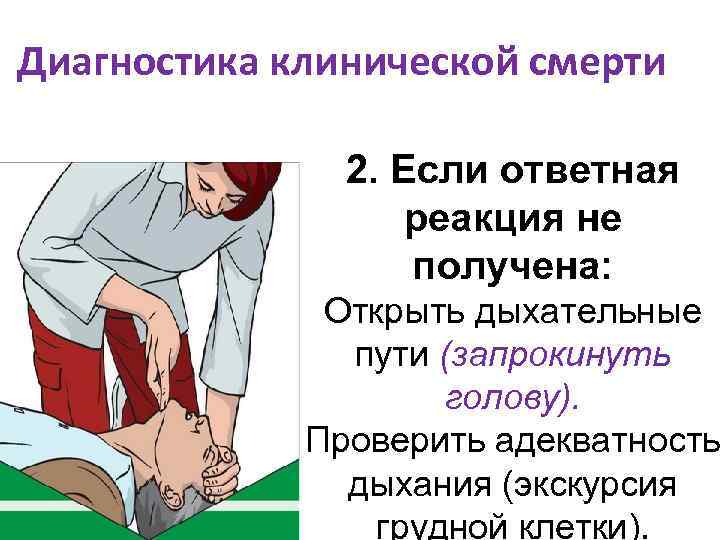 Диагностика клинической смерти 2. Если ответная реакция не получена: Открыть дыхательные пути (запрокинуть голову).