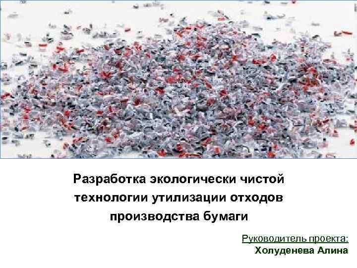 Разработка экологически чистой технологии утилизации отходов производства бумаги Руководитель проекта: Холуденева Алина 
