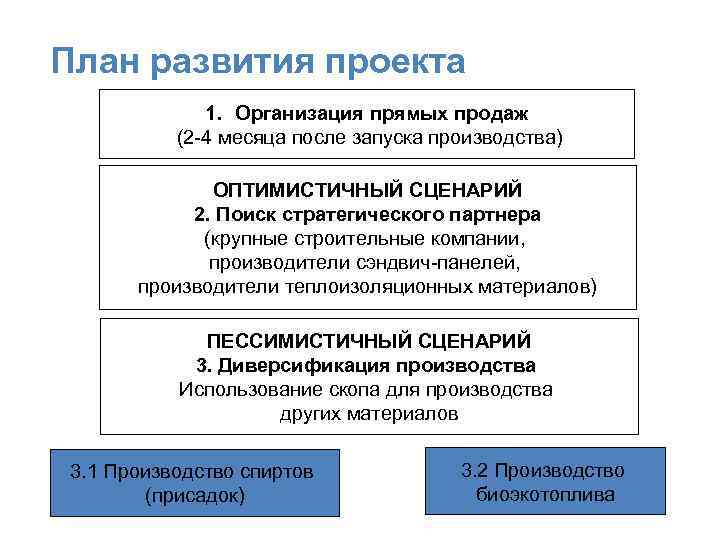 План развития проекта 1. Организация прямых продаж (2 -4 месяца после запуска производства) ОПТИМИСТИЧНЫЙ