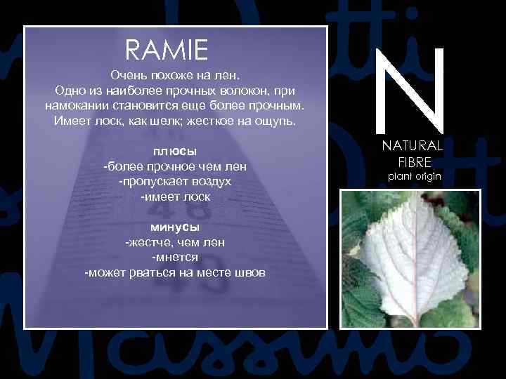 RAMIE Очень похоже на лен. Одно из наиболее прочных волокон, при намокании становится еще