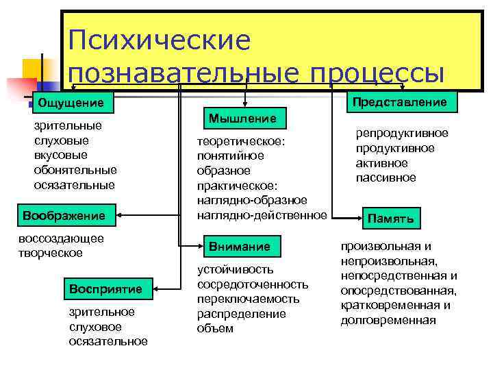 Психические познавательные процессы Представление Ощущение зрительные слуховые вкусовые обонятельные осязательные Воображение воссоздающее творческое Восприятие