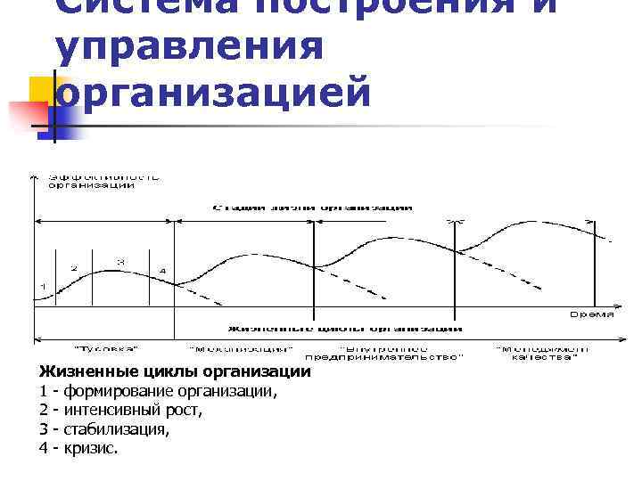 Система построения и управления организацией Жизненные циклы организации 1 - формирование организации, 2 -