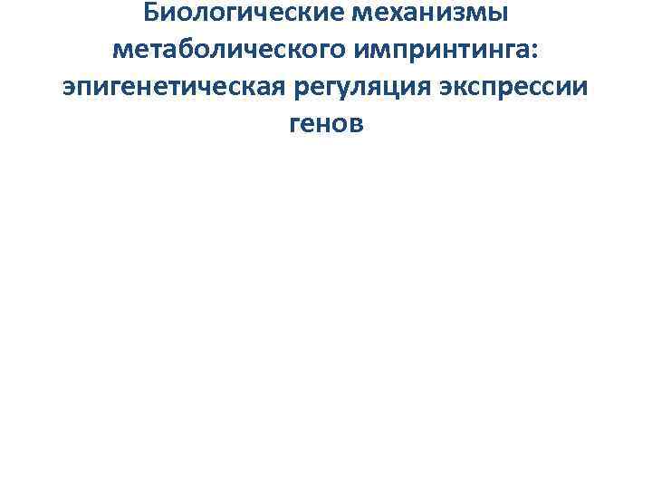 Биологические механизмы метаболического импринтинга: эпигенетическая регуляция экспрессии генов 