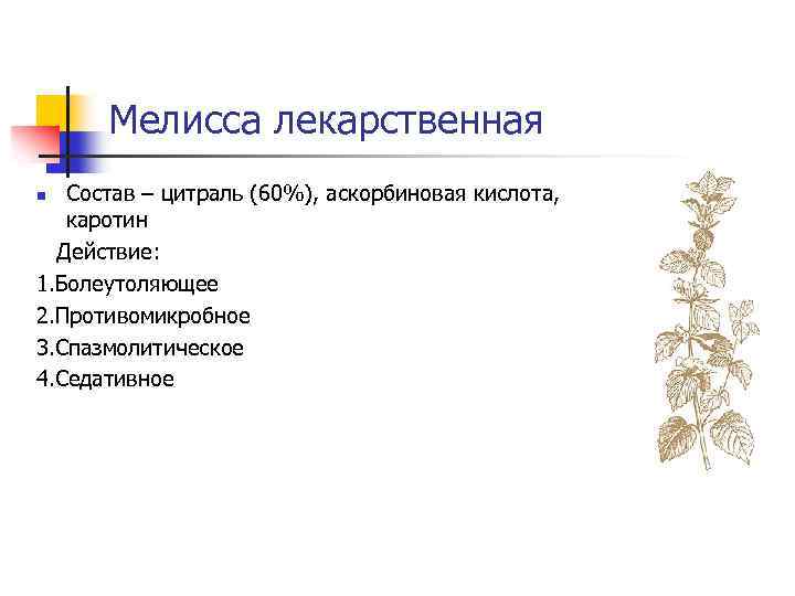 Мелисса лекарственная Состав – цитраль (60%), аскорбиновая кислота, каротин Действие: 1. Болеутоляющее 2. Противомикробное