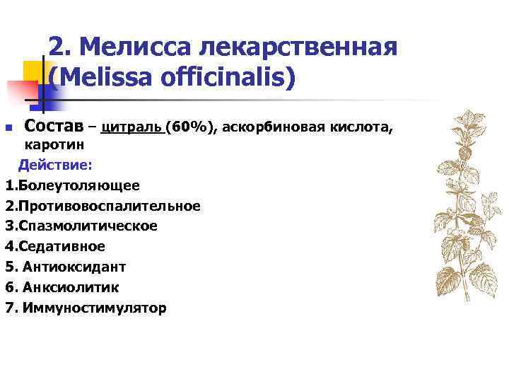 2. Мелисса лекарственная (Melissa officinalis) n Состав – цитраль (60%), аскорбиновая кислота, каротин Действие: