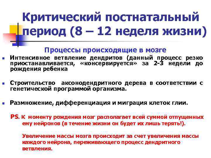 Критический постнатальный период (8 – 12 неделя жизни) Процессы происходящие в мозге n Интенсивное