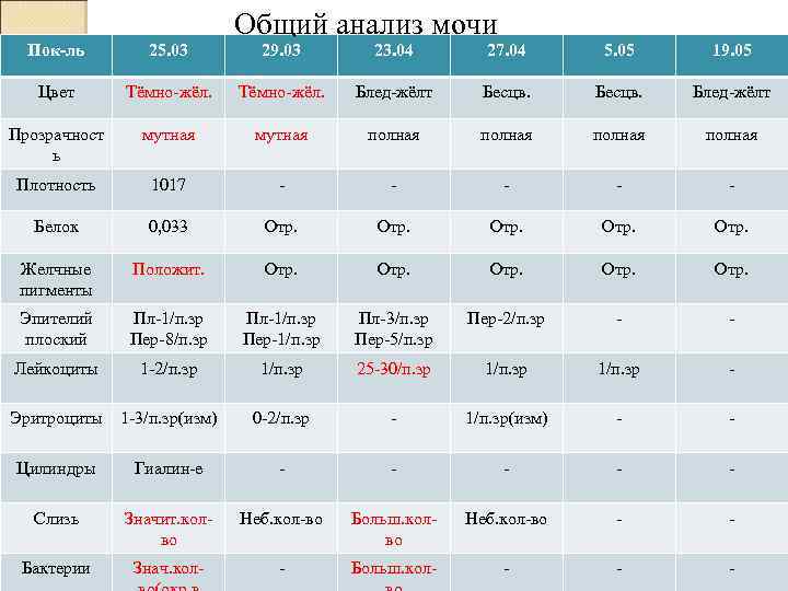 Пок-ль 25. 03 Цвет Общий анализ мочи 29. 03 23. 04 27. 04 5.