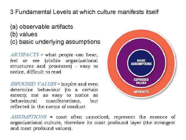 3 Fundamental Levels at which culture manifests itself (a) observable artifacts (b) values (c)