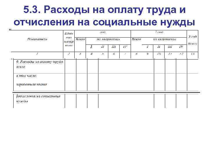 5. 3. Расходы на оплату труда и отчисления на социальные нужды 