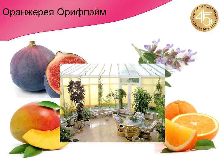 Оранжерея Орифлэйм 