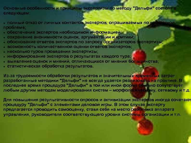 Основные особенности и принципы экспертизы по методу 