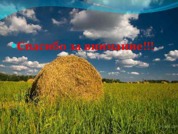  Спасибо за внимание!!! 