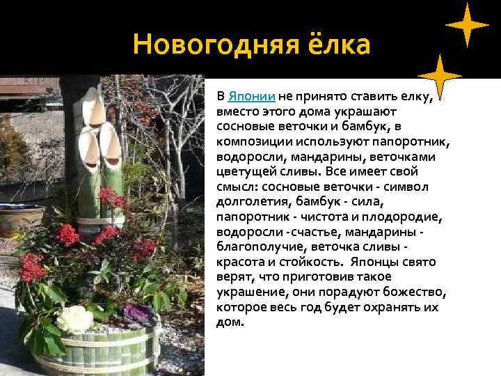 Новогодняя ёлка В Японии не принято ставить елку, вместо этого дома украшают сосновые веточки