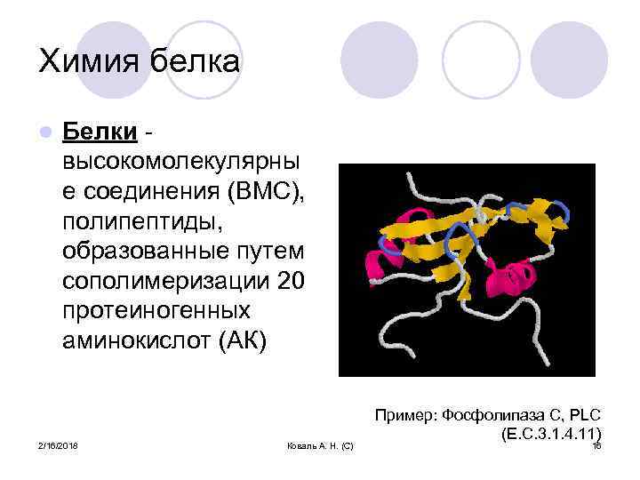 Химия белка l Белки высокомолекулярны е соединения (ВМС), полипептиды, образованные путем сополимеризации 20 протеиногенных