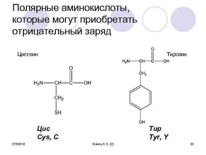 Полярные аминокислоты, которые могут приобретать отрицательный заряд Цистеин Тирозин Цис Cys, C 2/16/2018 Тир