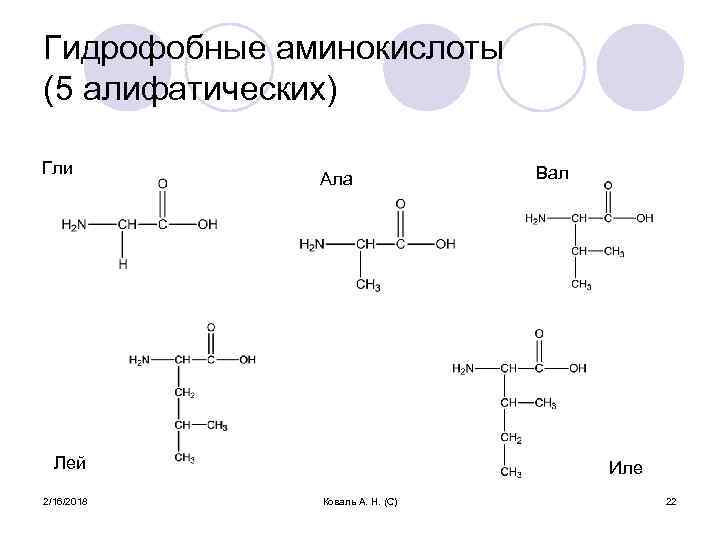 Гидрофобные аминокислоты (5 алифатических) Гли Ала Лей 2/16/2018 Вал Иле Коваль А. Н. (С)