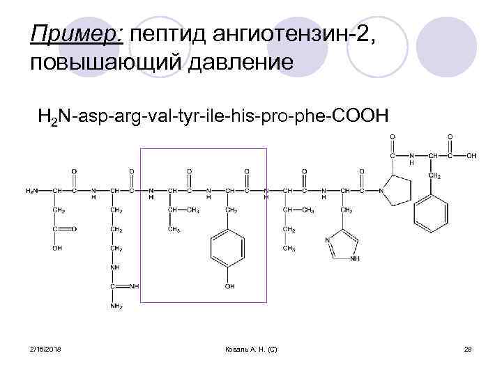 Пример: пептид ангиотензин-2, повышающий давление H 2 N-asp-arg-val-tyr-ile-his-pro-phe-COOH 2/16/2018 Коваль А. Н. (С) 28