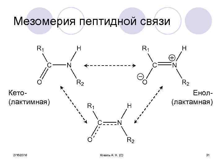 Мезомерия пептидной связи Кето(лактимная) 2/16/2018 Енол(лактамная) Коваль А. Н. (С) 31 