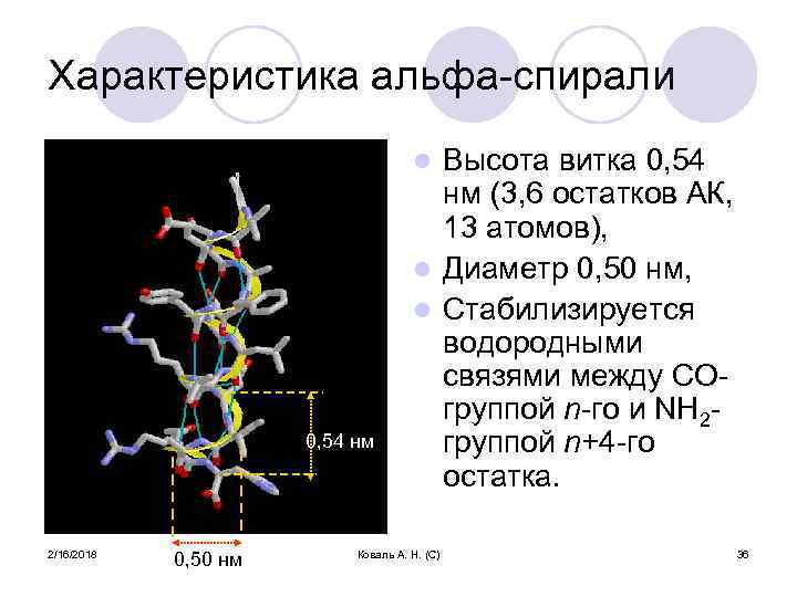 Характеристика альфа-спирали Высота витка 0, 54 нм (3, 6 остатков АК, 13 атомов), l