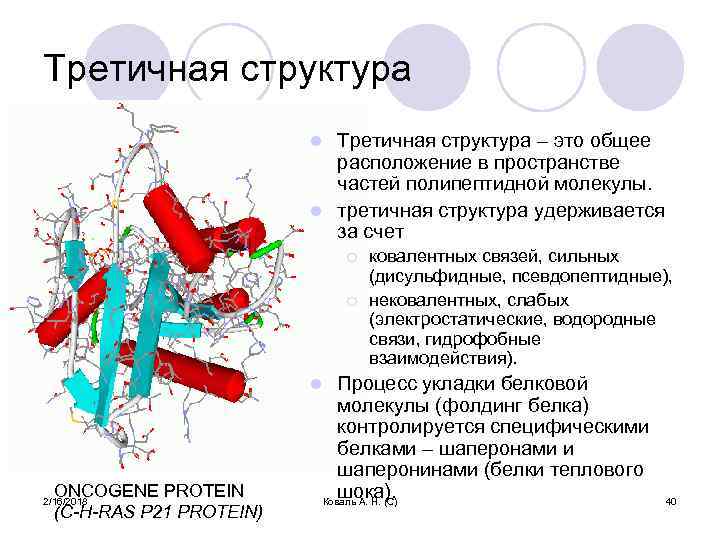 Третичная структура – это общее расположение в пространстве частей полипептидной молекулы. l третичная структура