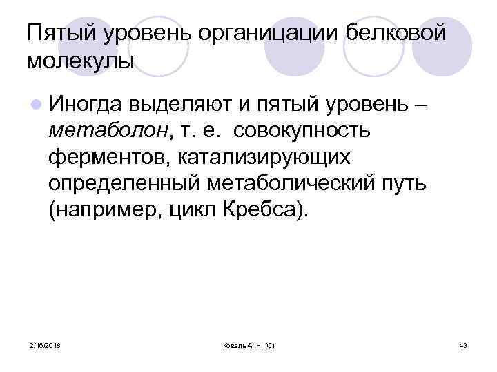 Пятый уровень органицации белковой молекулы l Иногда выделяют и пятый уровень – метаболон, т.