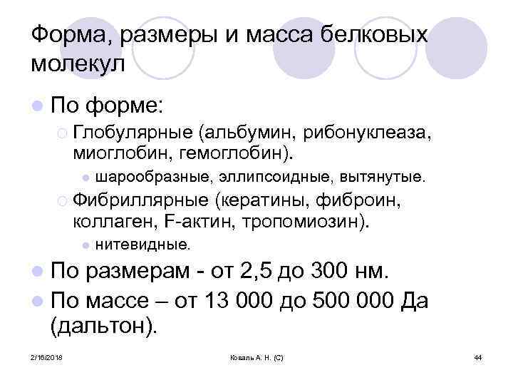 Форма, размеры и масса белковых молекул l По форме: ¡ Глобулярные (альбумин, рибонуклеаза, миоглобин,