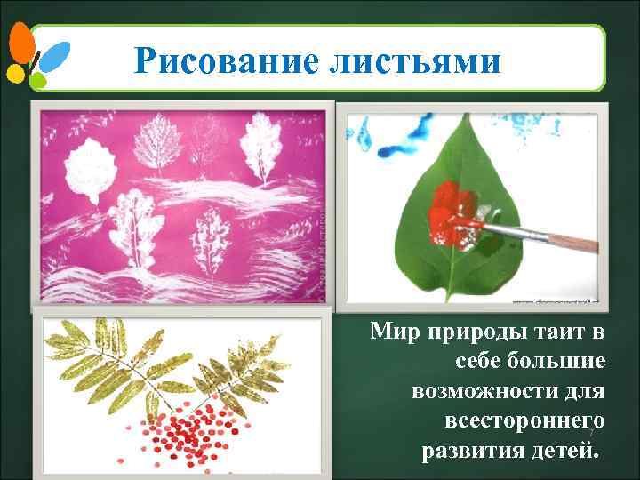 Рисование листьями Мир природы таит в себе большие возможности для всестороннего 7 развития детей.