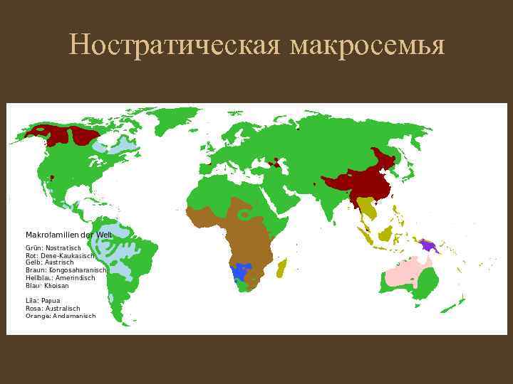 Ностратическая макросемья 