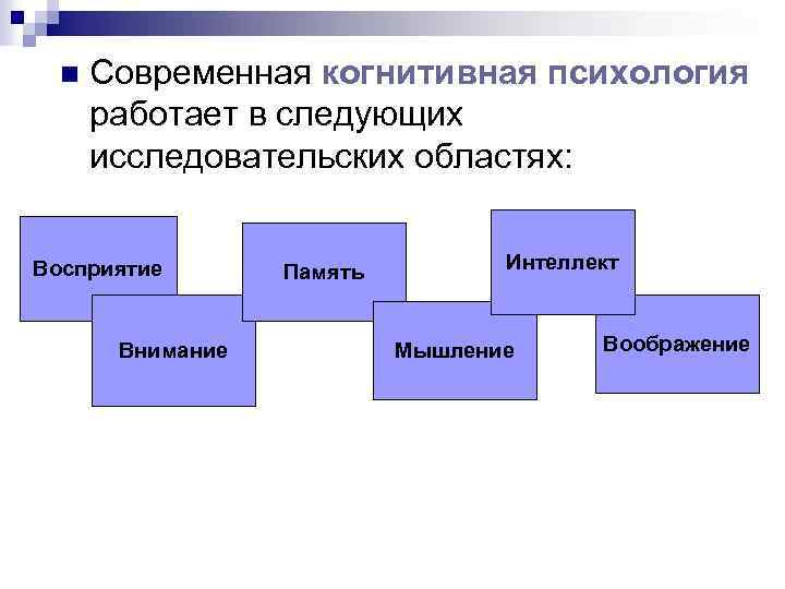 n Современная когнитивная психология работает в следующих исследовательских областях: Восприятие Внимание Память Интеллект Мышление