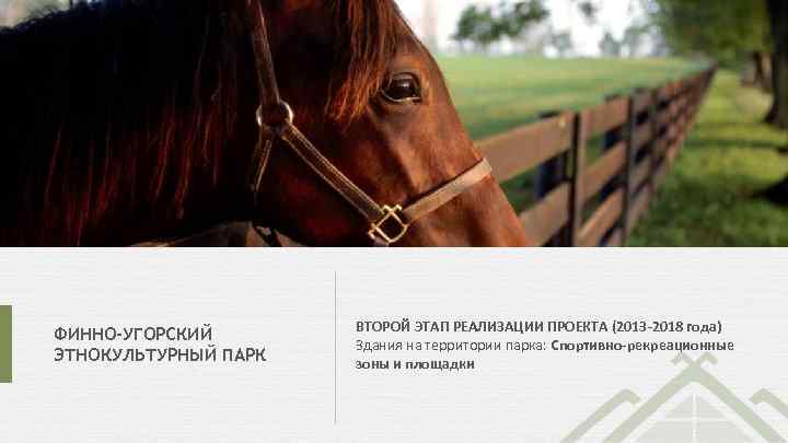 ФИННО-УГОРСКИЙ ЭТНОКУЛЬТУРНЫЙ ПАРК ВТОРОЙ ЭТАП РЕАЛИЗАЦИИ ПРОЕКТА (2013 -2018 года) Здания на территории парка: