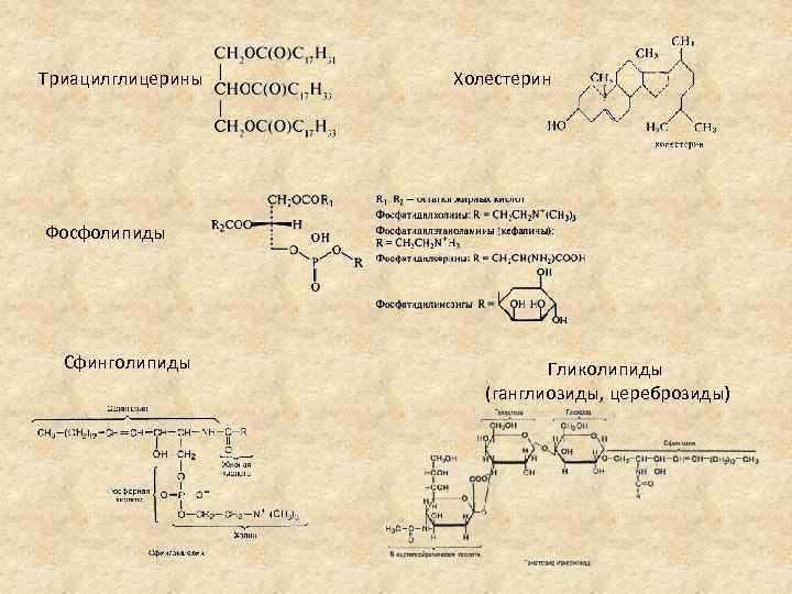 Триацилглицерины Холестерин Фосфолипиды Сфинголипиды Гликолипиды (ганглиозиды, цереброзиды) 